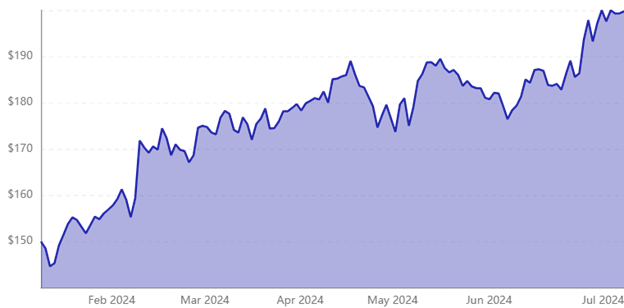 Amazon's Net Sale From Feb 2024-Jul 2024